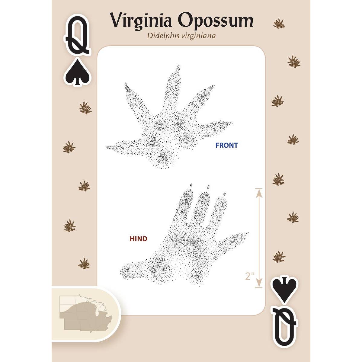 Animal Tracks of the Midwest Playing Cards