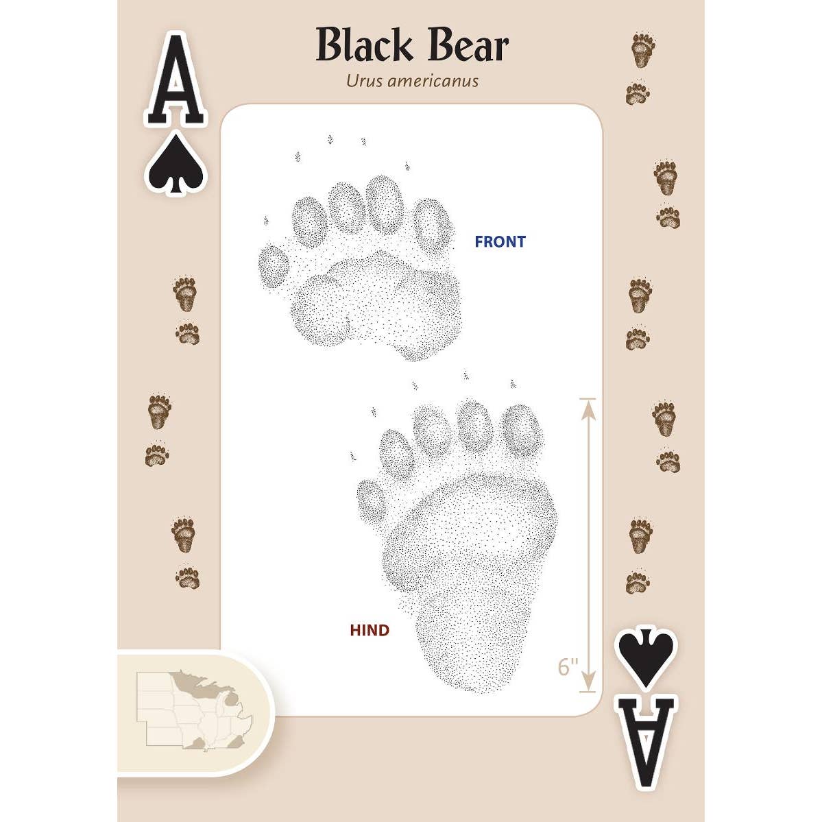 Animal Tracks of the Midwest Playing Cards